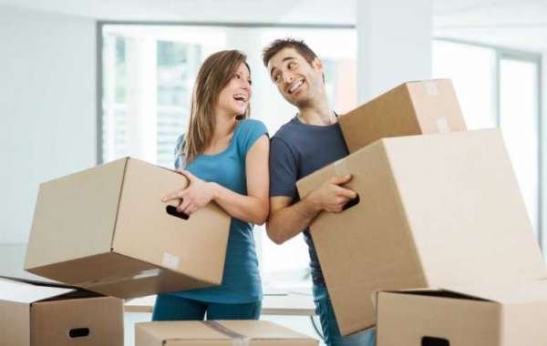 Looking for The Professional Packers And Movers Gottigere?